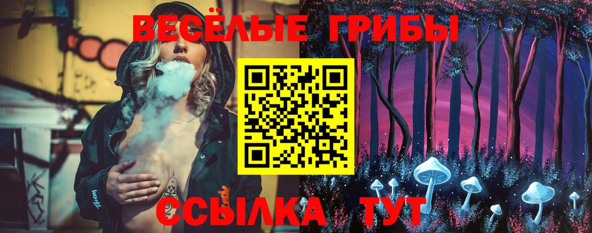 Псилоцибиновые грибы Magic Shrooms Щёлково