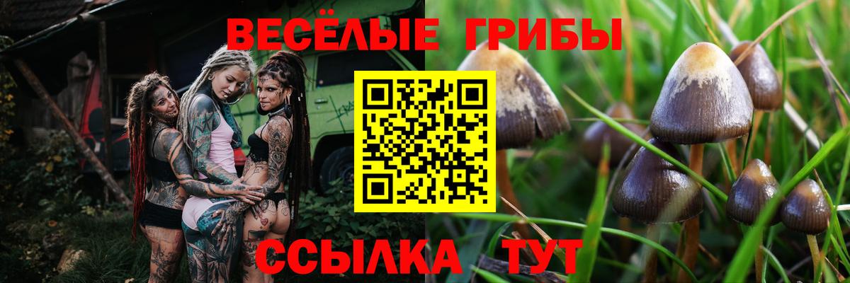Галлюциногенные грибы прущие грибы  Псилоцибиновые грибы прущие грибы  Вход с VPN  Щёлково 